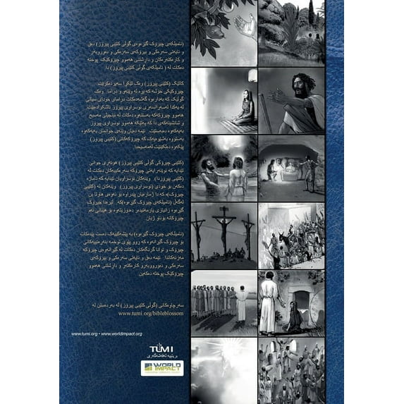 Bible Blossom Storyteller's Handbook, Kurdish: The Unfolding Story of God, (Paperback)
