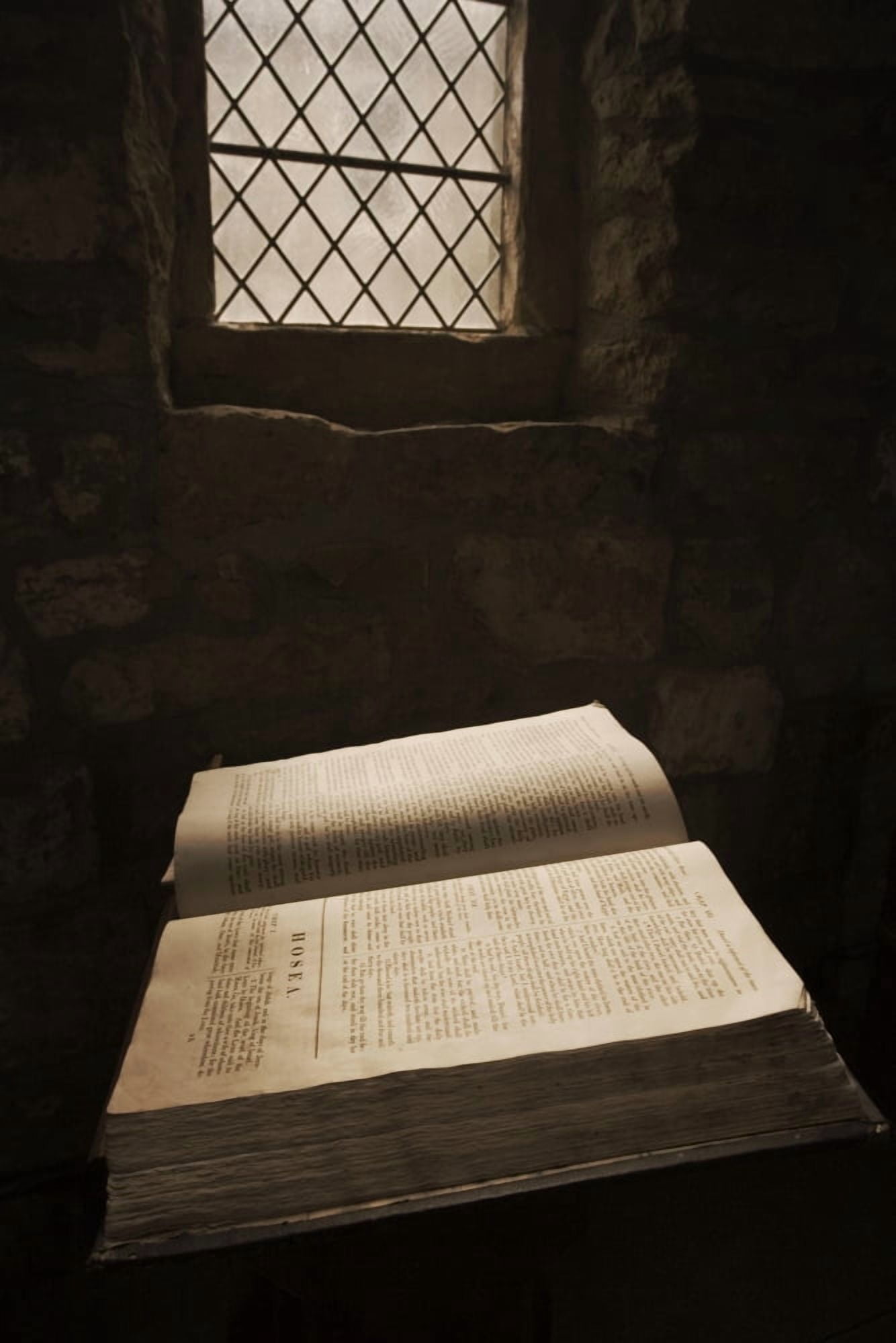 Bible Canvas Art - John Short Design Pics (12 x 18)