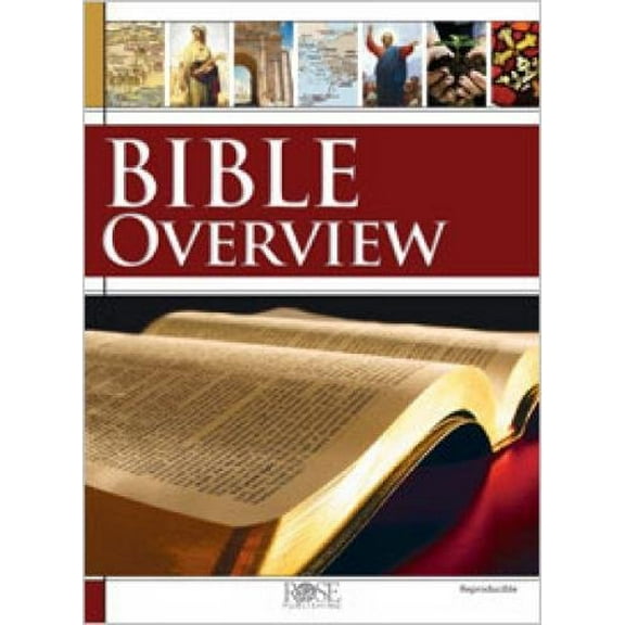 Pre-Owned Bible Overview (Paperback) 1596365692 9781596365698