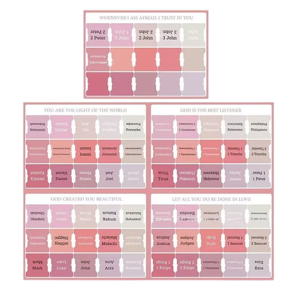 Bible Tabs Set, Colored Bible Tabs for Easy Navigation Index Tabs Study Supplies Tool for Women&Men,Pink (Including 9 Blank Labels)