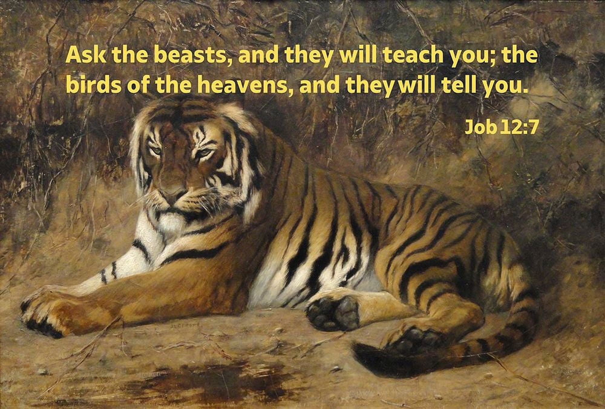 Bible Verse Quote Job 127, JeanLeon Gerome Tiger II by ArtsyQuotes (24 x 18)
