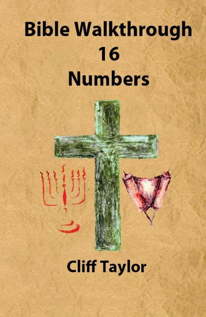 Bible Walkthrough: Bible Walkthrough - 16 - Numbers (Paperback)