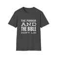 thumbnail image 1 of Bible and Mirror Don't Lie Motivational Graphic Apparel, 1 of 5