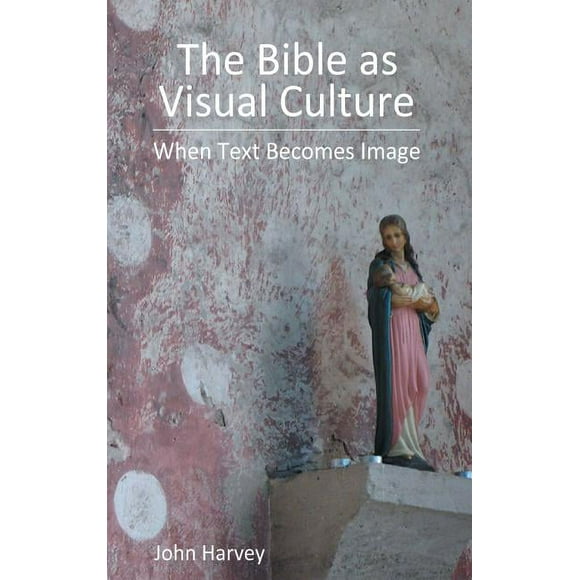 Bible in the Modern World: The Bible as Visual Culture : When Text Becomes Image (Hardcover)