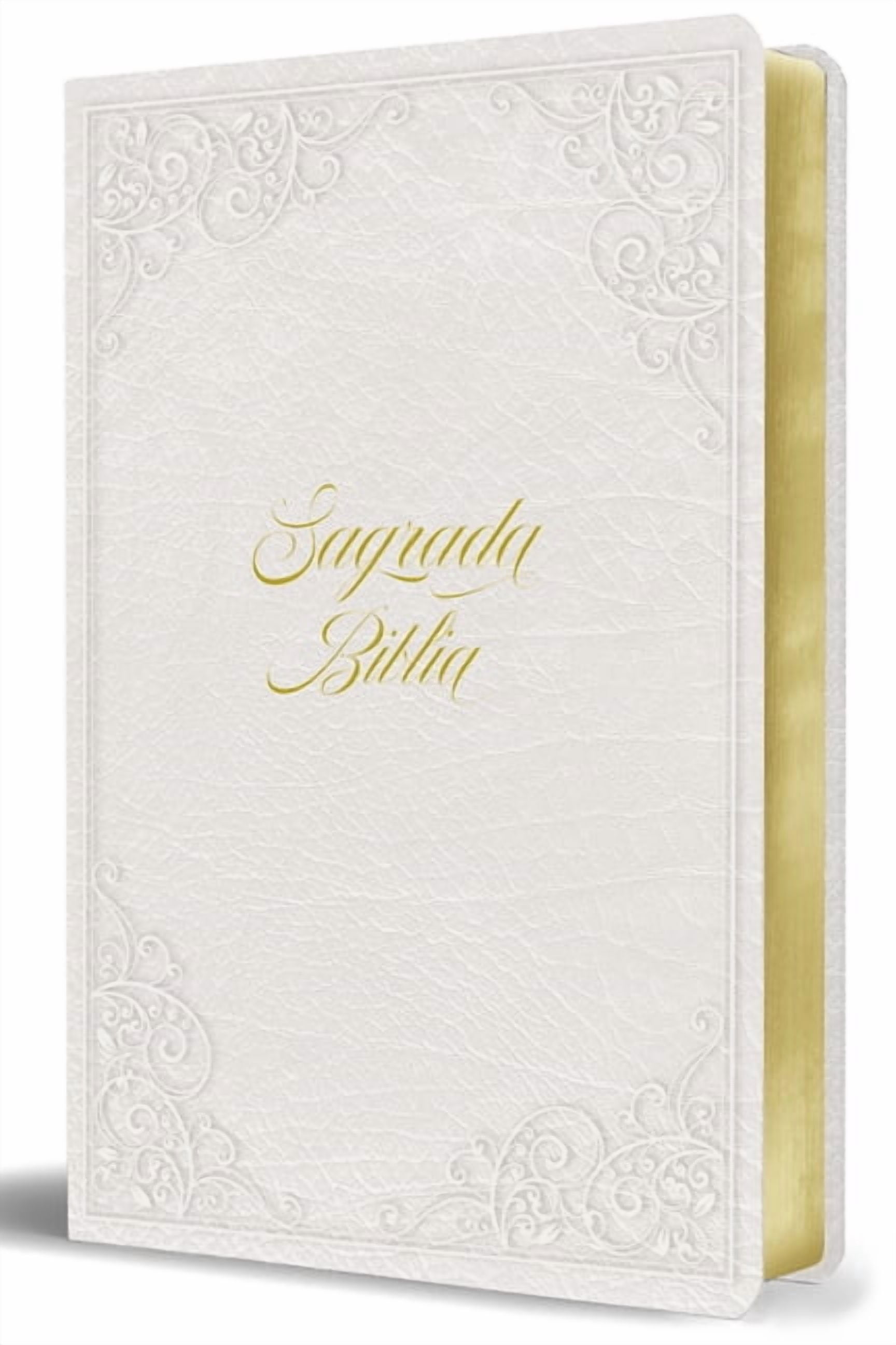 Biblia de Am√©rica, Biblia Cat√≥lica, Letra Grande, S√≠mil Piel Blanca ...