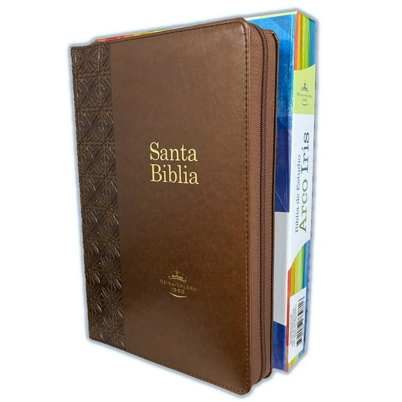 Biblia De Estudio Pastoral Arco Iris Con Cierre Rv 1960 Cafe Con Indice (Library Binding)