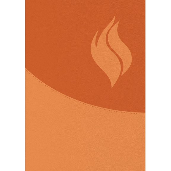 Biblia de Estudio Vida Plena - Ampliada Y Actualizada (Imitacin Piel Marrn) / Full Life Study Bible - Expanded and Upd, (Hardcover)