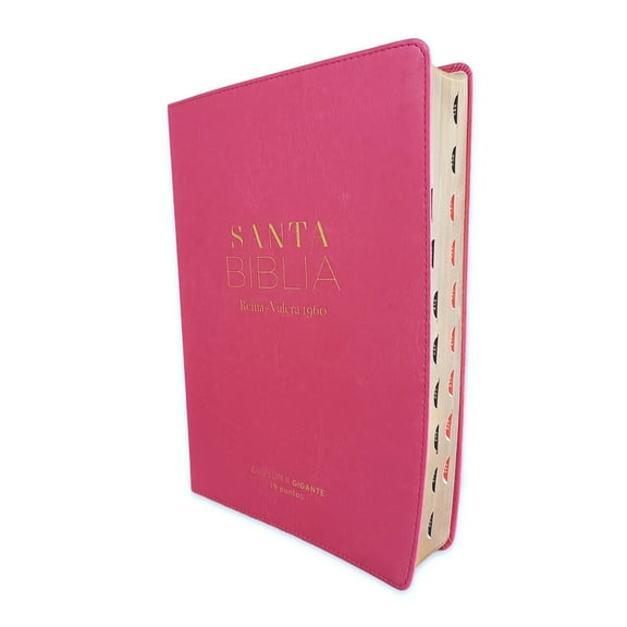 Biblia para Mujeres Letra Super Gigante 19 puntos RV1960 imit piel fucsia con indice