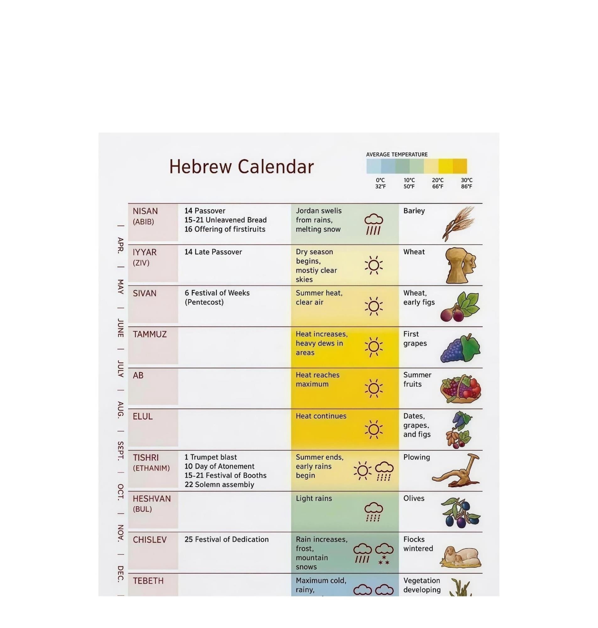 Biblical Festivals Hebrew Calendar Poster Jewish Holidays Education ...