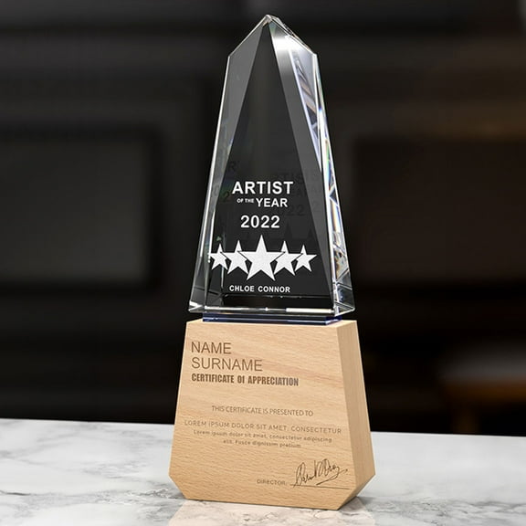 Bibsen Personalized Crystal Award, Personalized Custom Trophies,Trophy for Employees Sports Company Praise Plaque Excellence Customization, Appreciation Gifts Custom Award A