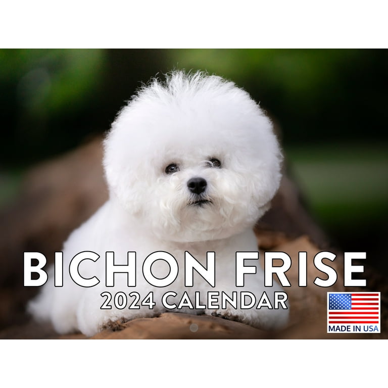 2023 2024 Bichon Frise Calendar - Dog Breed Monthly Wall Calendar - 12 x 24  Open - Thick No-Bleed Paper - Giftable - Academic Teacher's Planner
