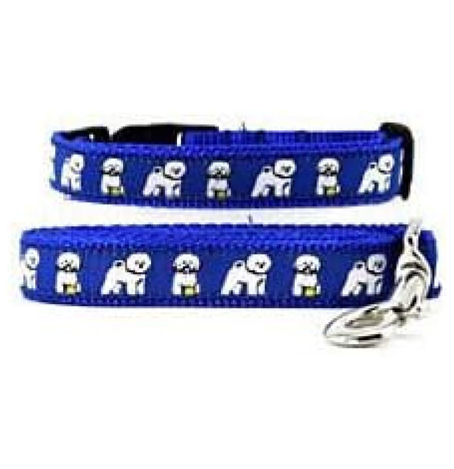 Bichon Frise Collar & Leash