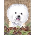 thumbnail image 1 of Bichon Frise Flag Canvas - House Size, 1 of 1