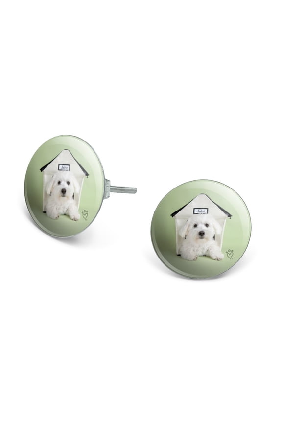 Bichon Frise Maltese Puppy Dog in House Novelty Silver Plated Stud Earrings