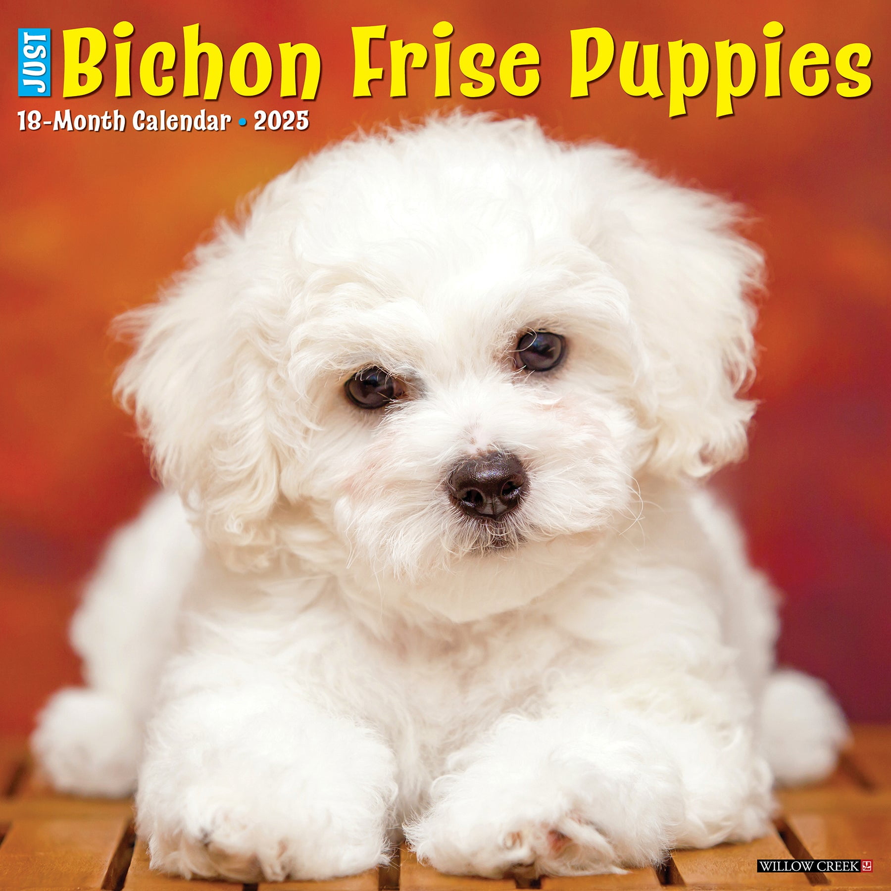 Bichon Frise Puppies 2025 Wall Calendar