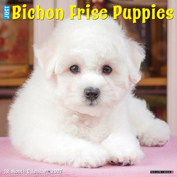 Bichon Frise Puppies 2027 12 X 12 Wall Calendar, (Paperback)