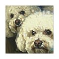 thumbnail image 1 of Bichon Frise at Play - Canvas, 1 of 10