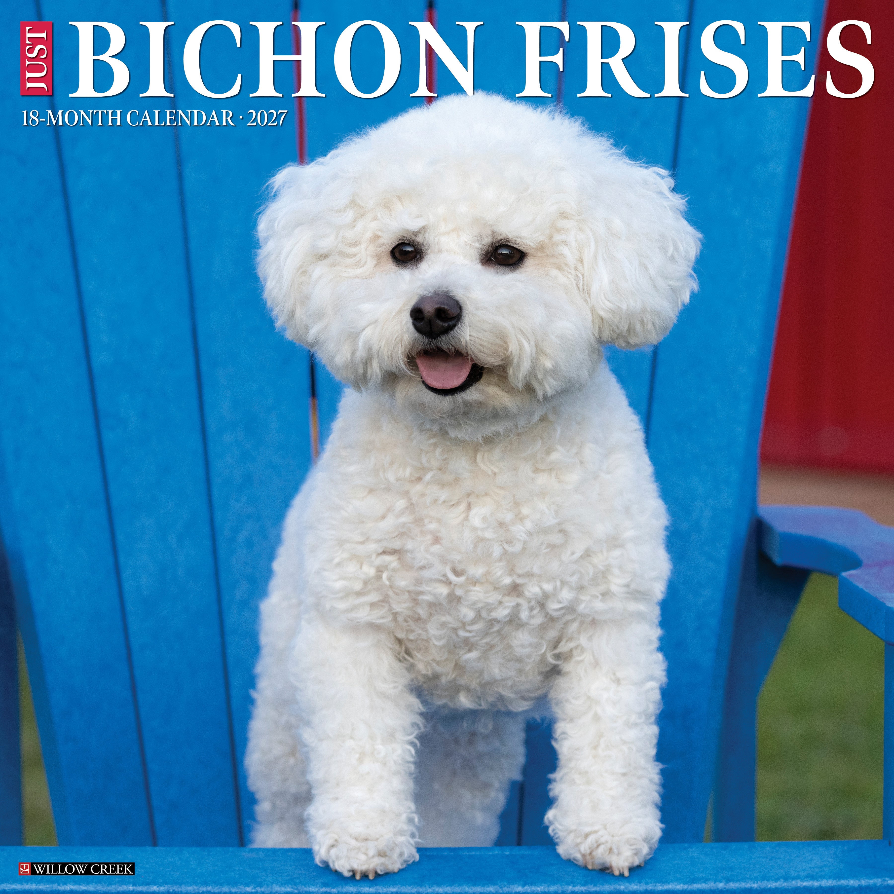 Willow Creek Press, Bichon Frises 2027 Wall Calendar