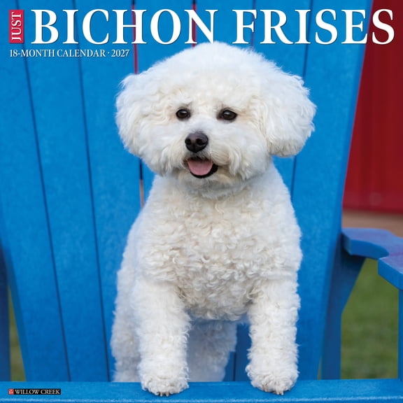 Willow Creek Press, Bichon Frises 2027 Wall Calendar