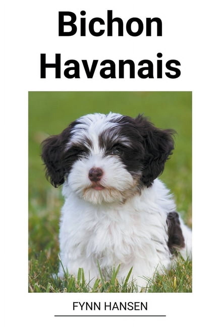 Bichon Havanais, (Paperback)