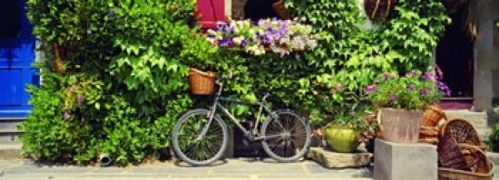 Bicycle In Front Of Wall Covered With Plants And Flowers Rochefort En Terre France Canvas Art - Panoramic Images (36 x 13)