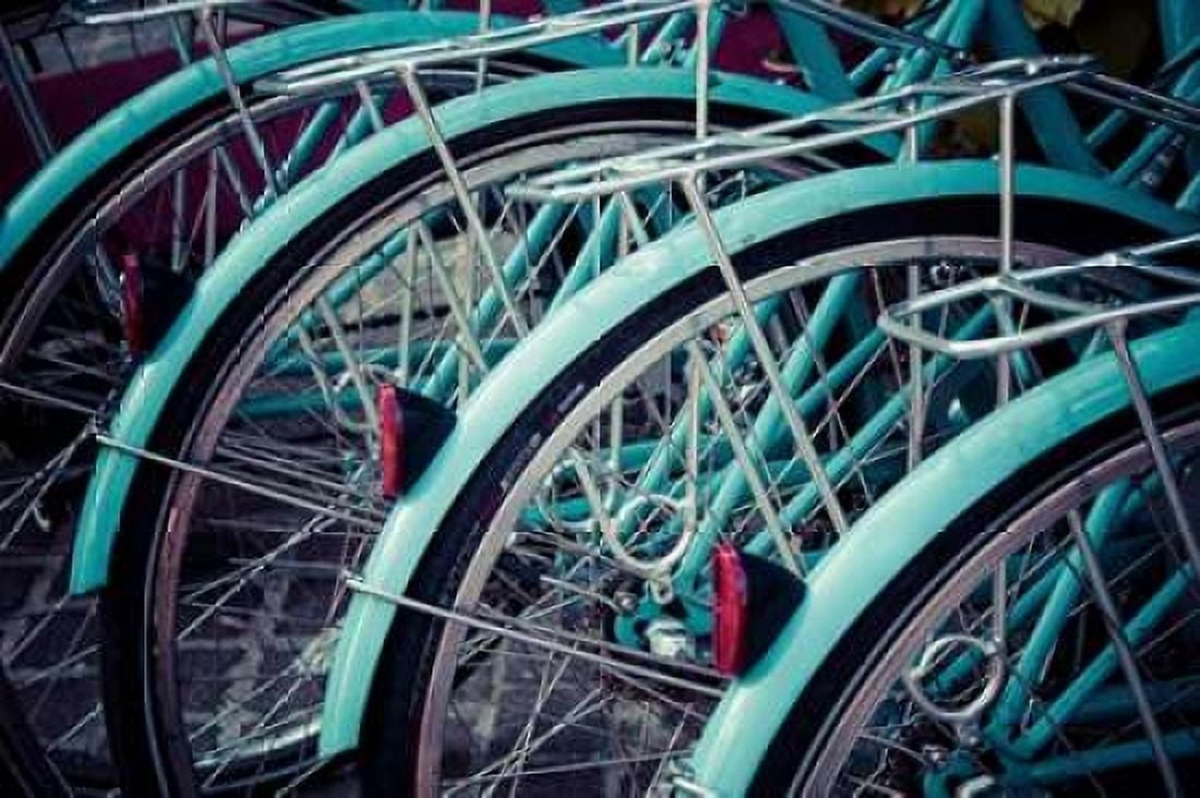 Bicycle Line Up 2 Canvas Art - Jessica Reiss (20 x 28)