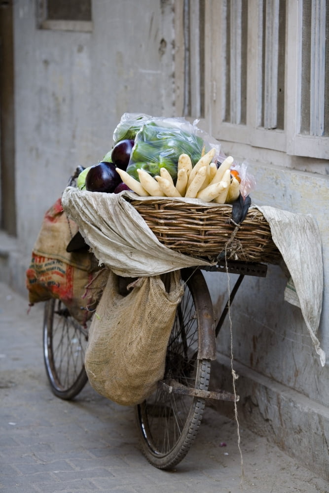 Bicycle Loaded With Food Delhi India Canvas Art - David DuChemin Design Pics (12 x 19)