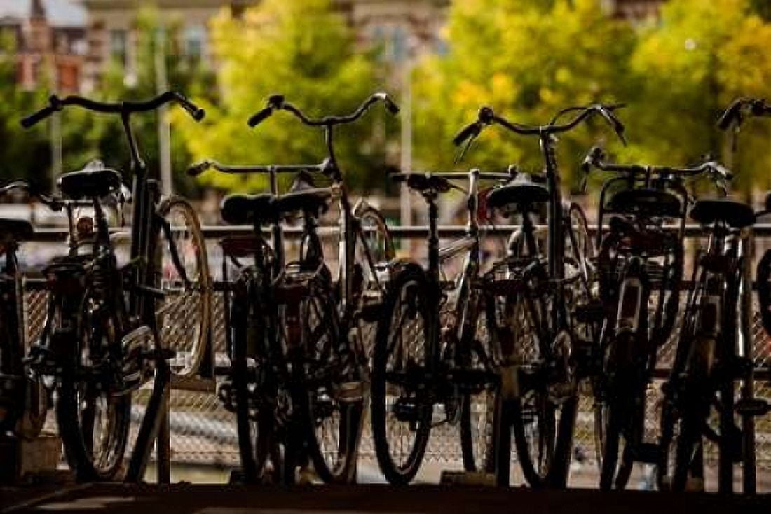 Bicycle Silhouettes II Canvas Art - Erin Berzel (12 x 18)