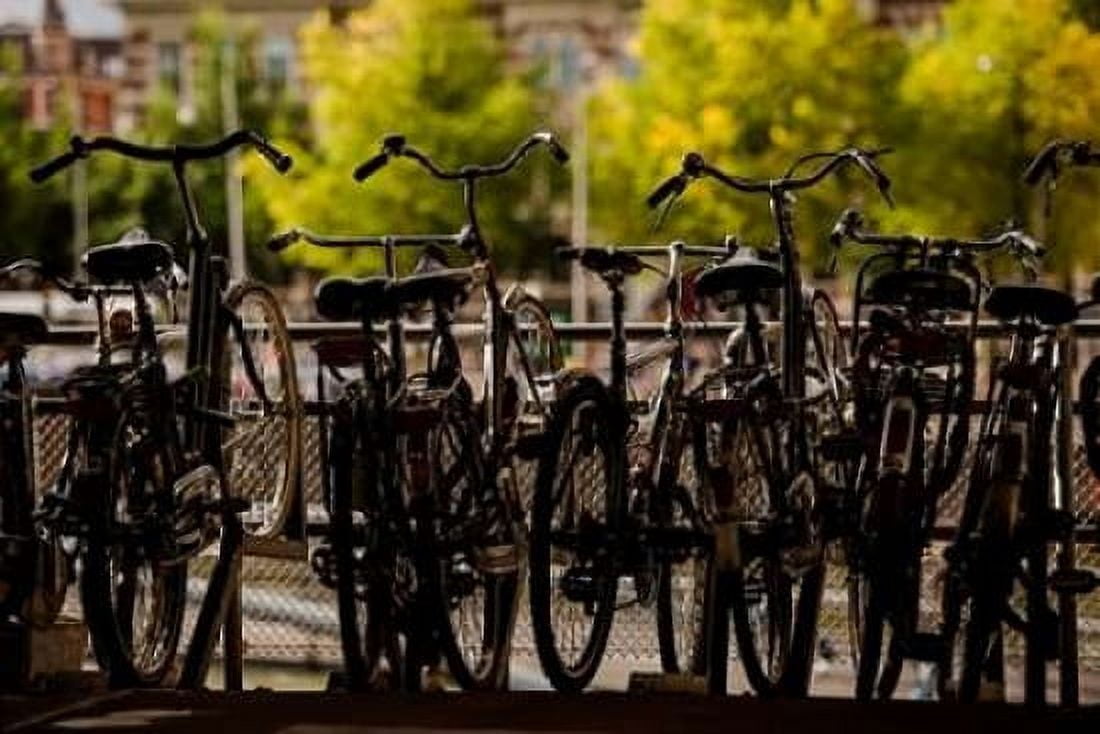 Bicycle Silhouettes II Canvas Art - Erin Berzel (24 x 36)
