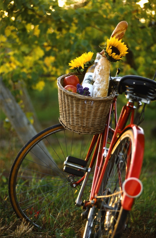 Bicycle With Full Basket Canvas Art - Jeff Speed Design Pics (11 x 17)