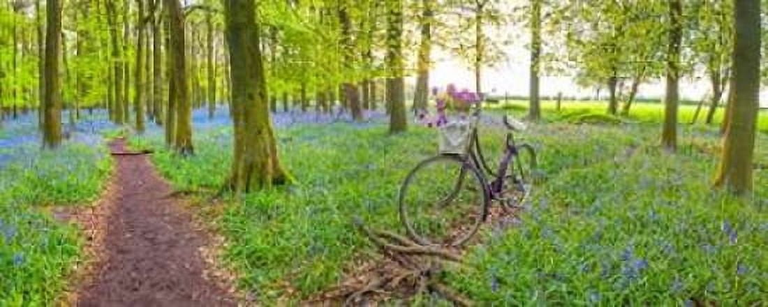 Bicycle in spring forest with bunch of flowers Canvas Art - Assaf Frank (10 x 20)