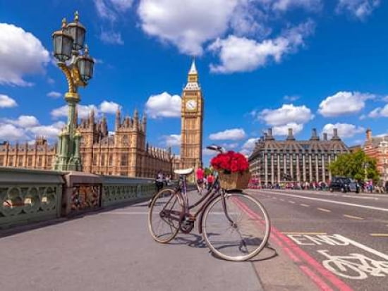 Bicycle with bunch of flowers on Westminster Bridge London UK Canvas Art - Assaf Frank (18 x 24)