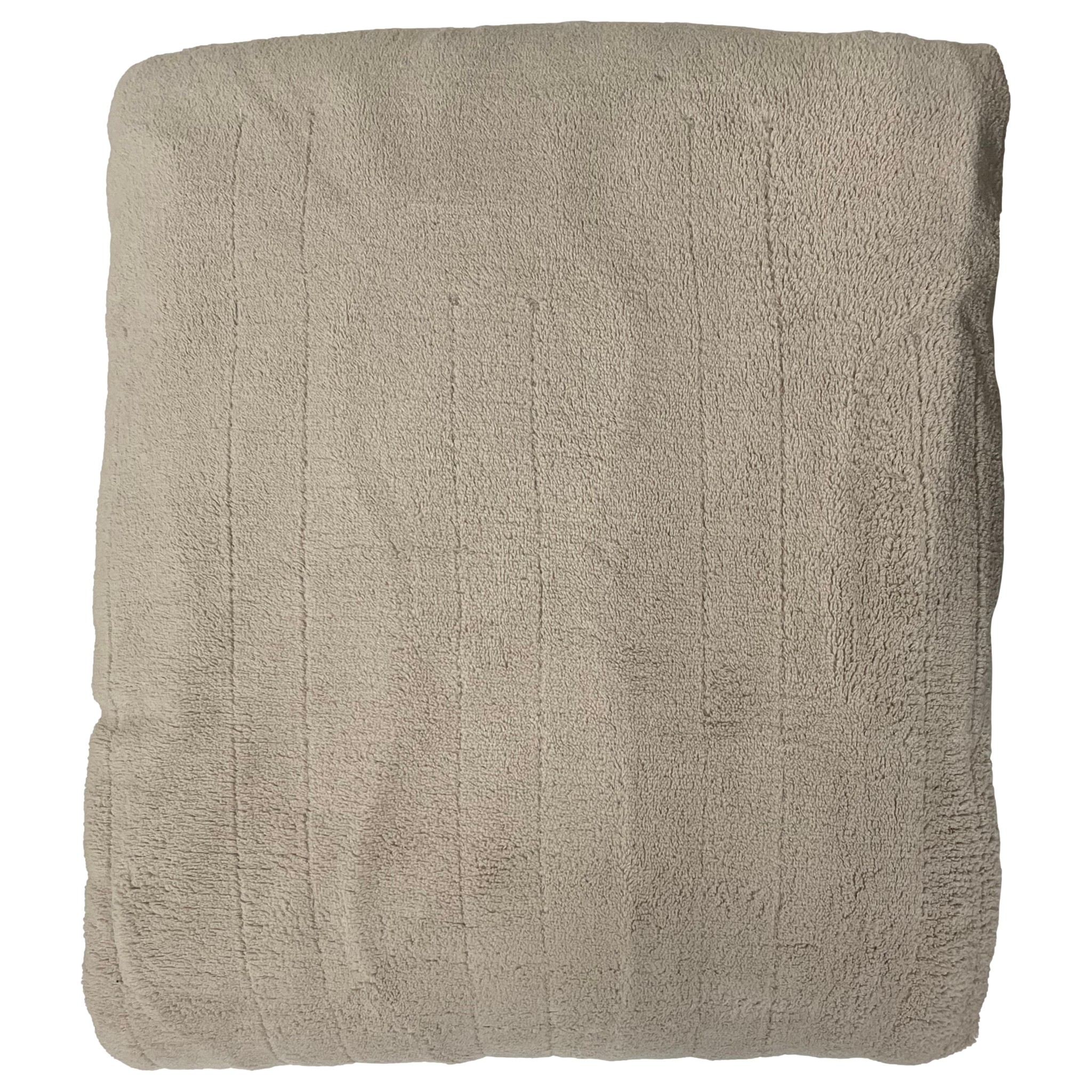 Biddeford Beige Heated Micro Plush Electric Blanket, Queen Two Controls