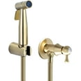Bidet Sprayer Faucet Set with Cold Water Brass Wall Mount Handheld