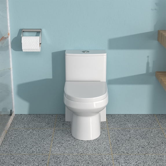 Bidet Toilet Ceramic One Piece Toilet for Bathroom, 12-inch Rough-In, 1.1/1.6 GPF, Dual Flush with Soft Clsoing Seat, Powerful Dual Flush MAP 800g,One Piece Toilet