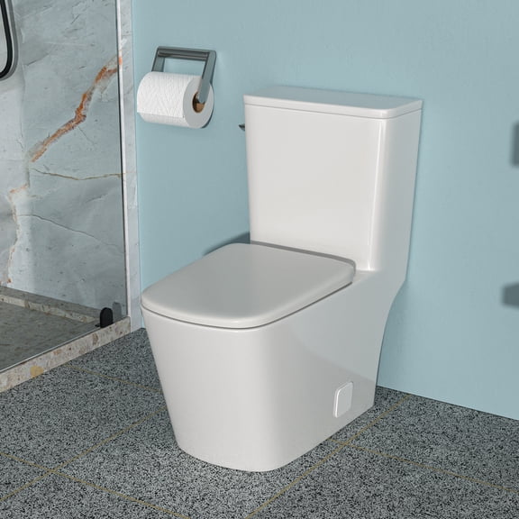 Bidet Toilet Ceramic One Piece Toilet,Single Flush with Soft Clsoing Seat,Elongated Toilet