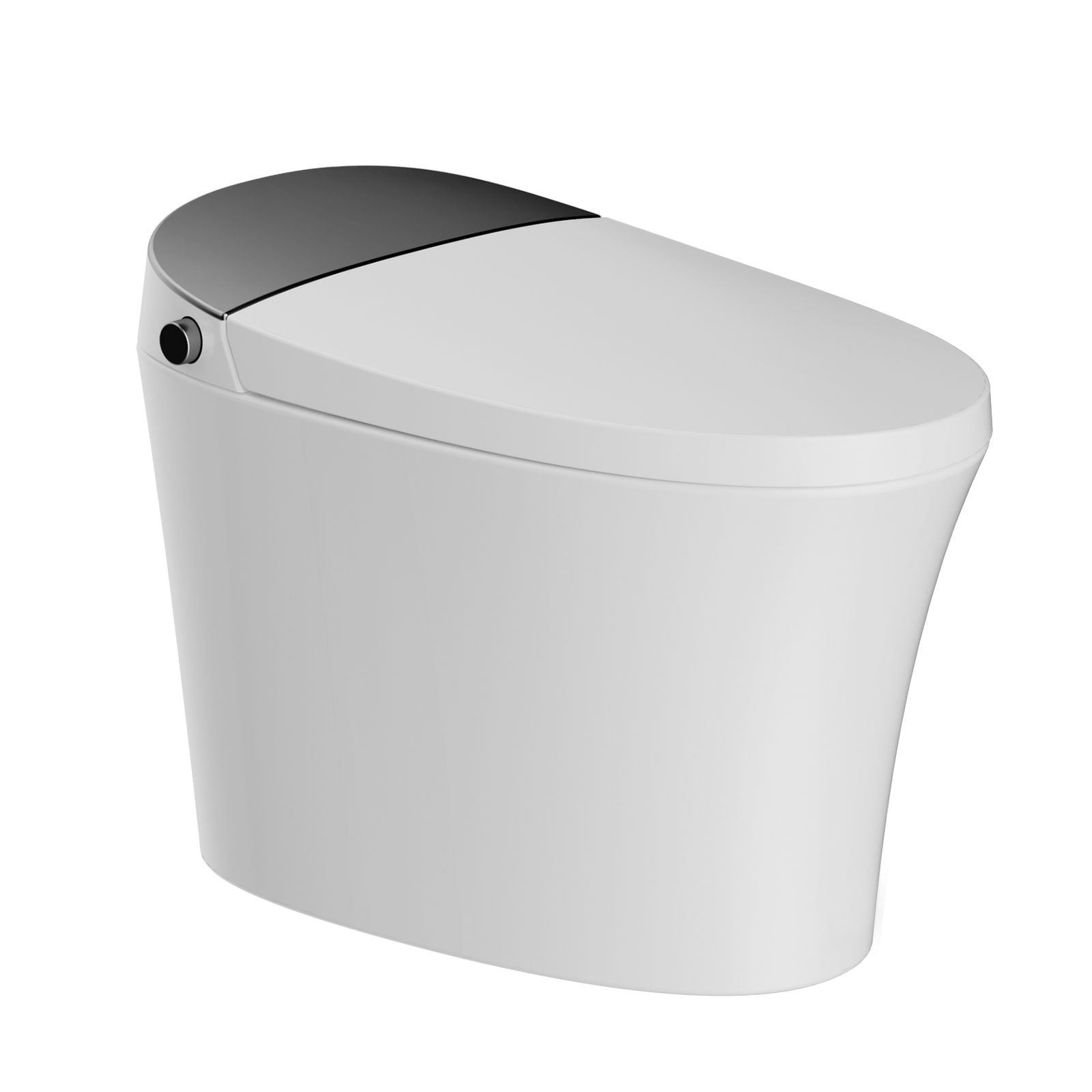 Bidet Toilets