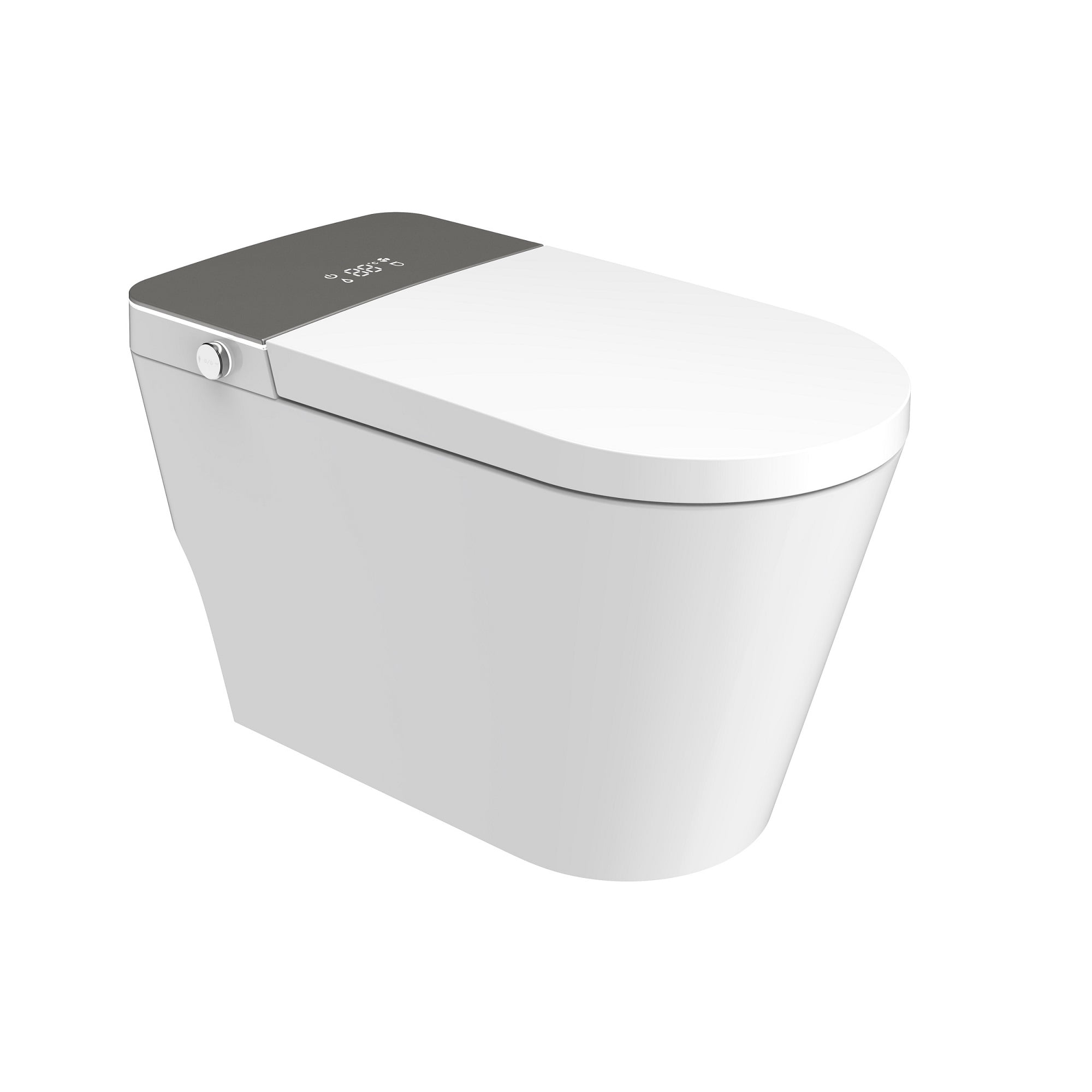 Bidet Toilets