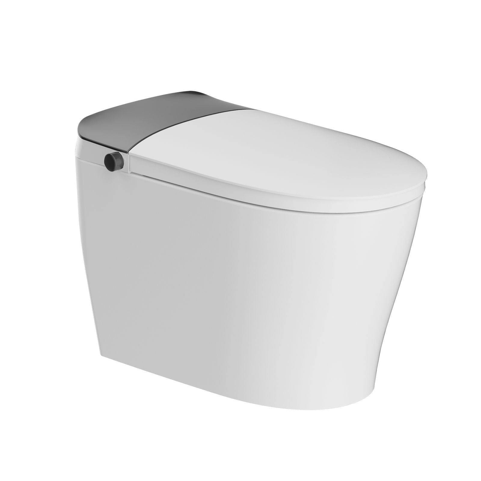 Bidet Toilets