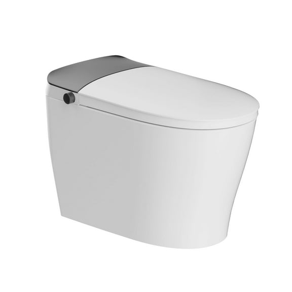 Bidet Toilets