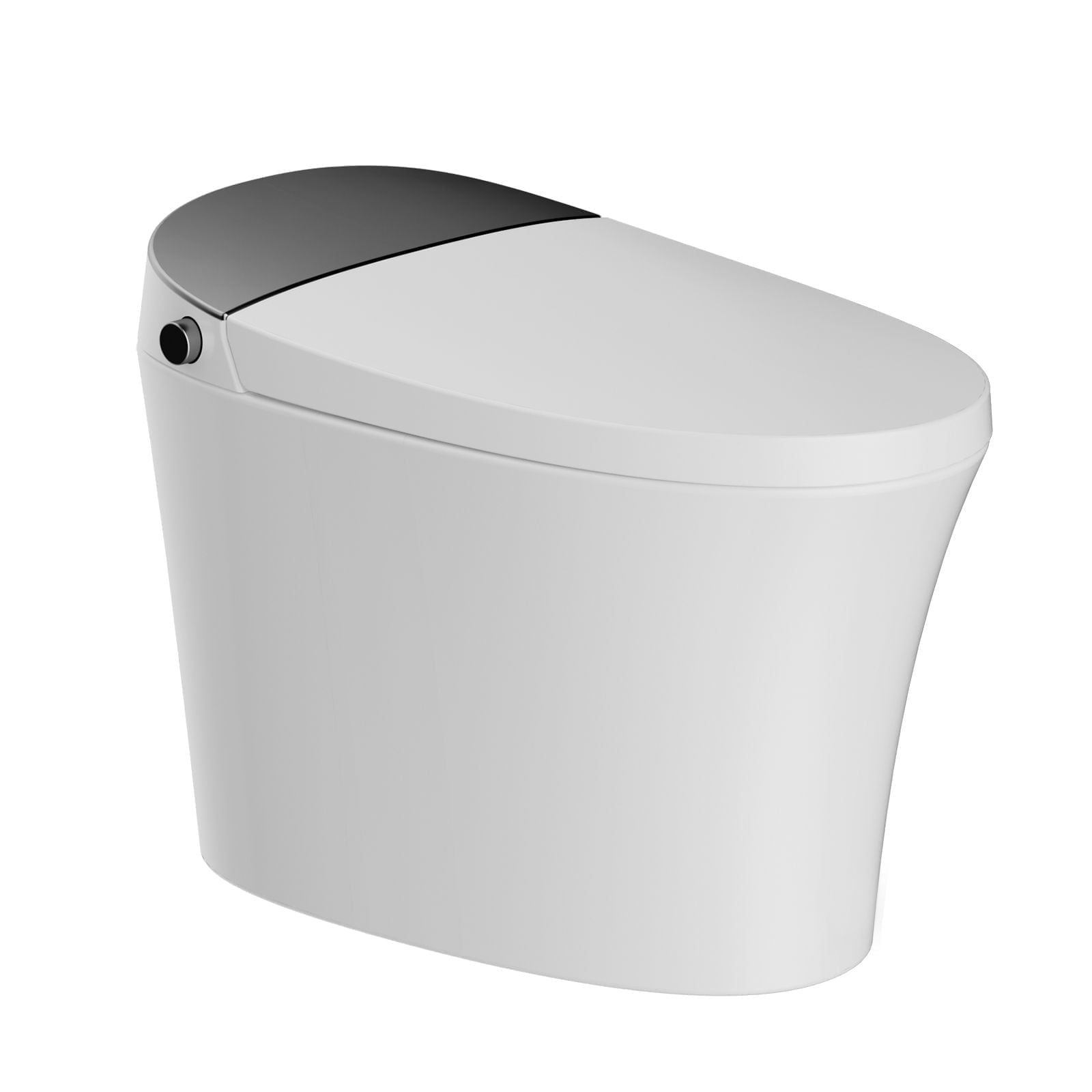 Bidet Toilets
