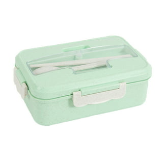 Papaba Lunch Box,Portable Heat Insulated Stainless Steel Liner Two  Compartment Bento Lunch Box