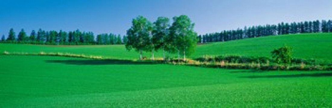 Biei-Cho Hokkaido Japan Canvas Art - Panoramic Images (18 x 6)