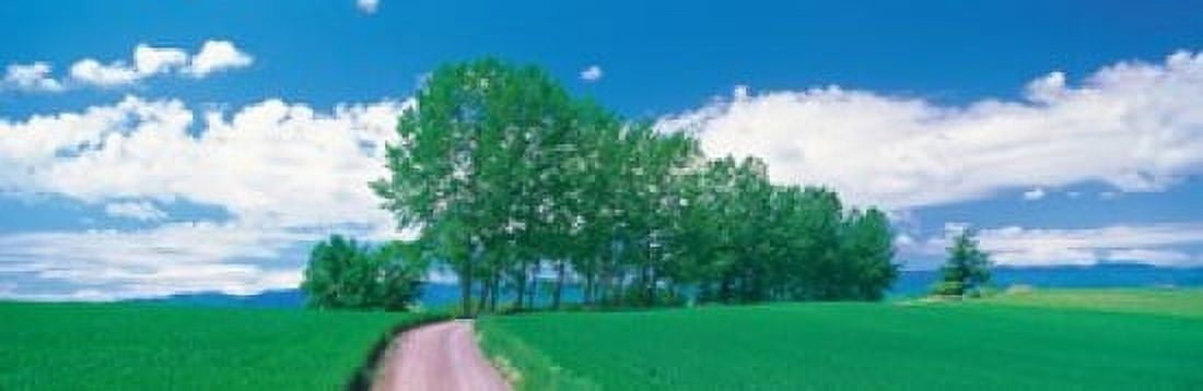 Biei-Cho Hokkaido Japan Canvas Art - Panoramic Images (36 x 12)