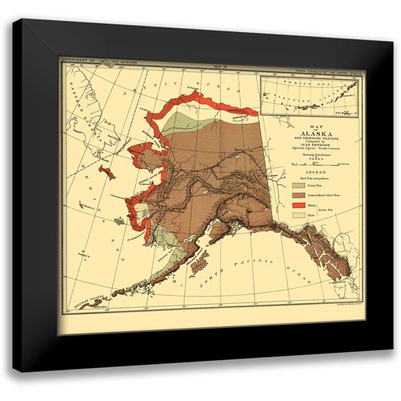 Bien 23x20 Black Modern Framed Museum Art Print Titled - Alaska Fox Habitat - Bien 1882