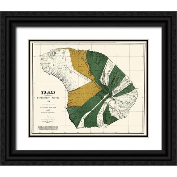 Bien 24x20 Black Ornate Wood Framed with Double Matting Museum Art Print Titled - Lanai Hawaii - Bien 1878