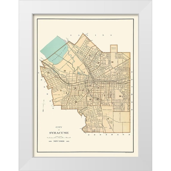 Bien 25x32 White Modern Wood Framed Museum Art Print Titled - Syracuse New York - Bien 1895