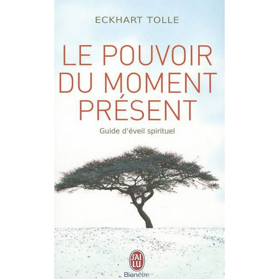 Bien Etre: Le Pouvoir Du Moment Present (Paperback)