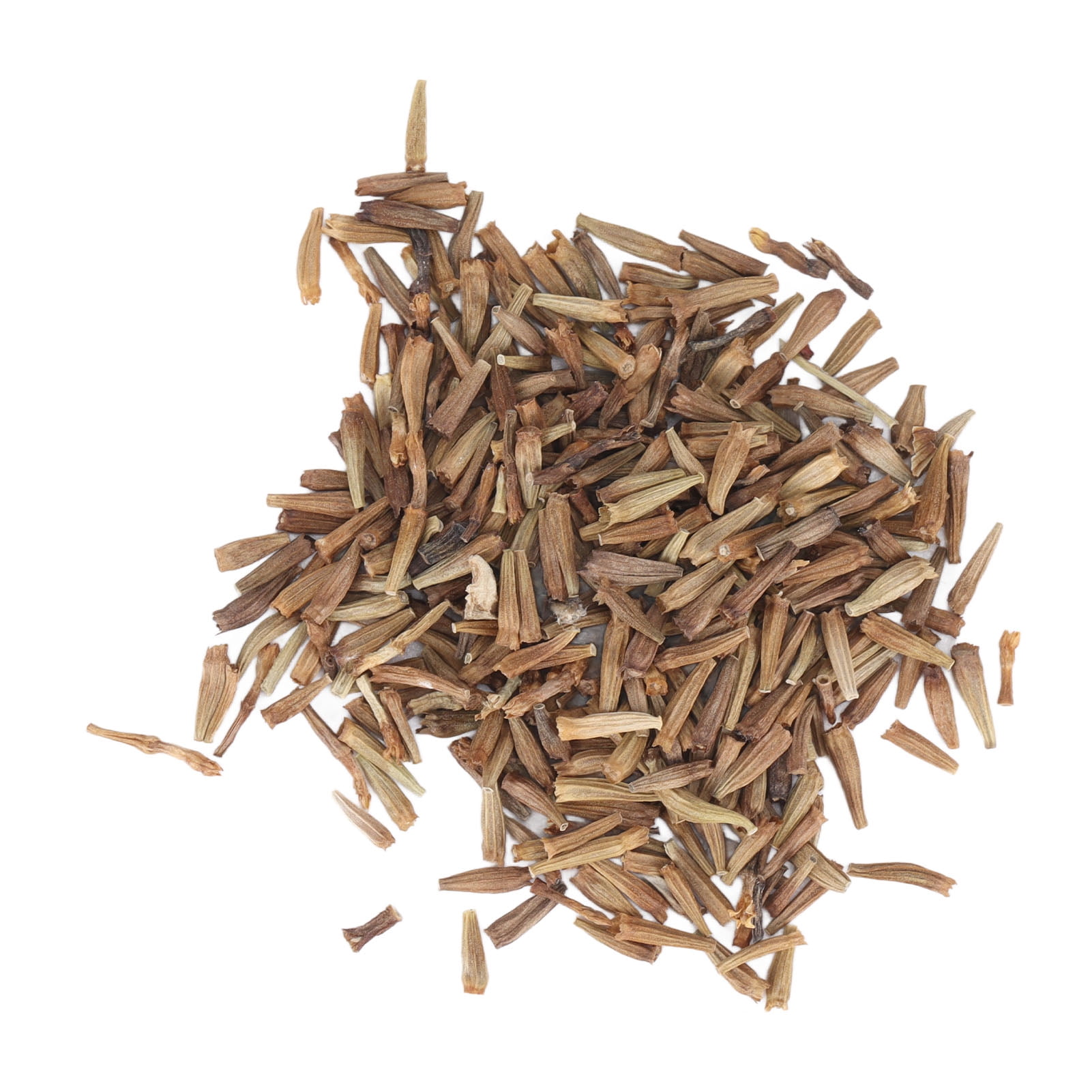 Bienvenido 50g Pyrethrum Seeds Flower Seeds Pack Pyrethrum