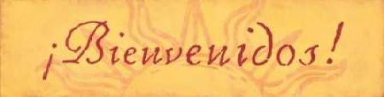 Bienvenidos Canvas Art - Stephanie Marrott (8 x 24)